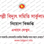 সাজেদা ফাউন্ডেশন নিয়োগ বিজ্ঞপ্তি ২০২৬ Sajida Foundation Job Circular 2026