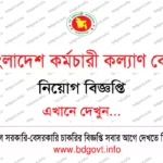 ৩১ পদে বি-আর পাওয়ারজেন লিমিটেড BRPGEN Job Circular 2026 প্রকাশ