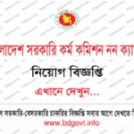 ২৮তম ব্যাচে আনসার ব্যাটালিয়ন নিয়োগ বিজ্ঞপ্তি ২০২৬ Ansar VDP Job Circular 2026