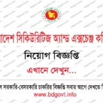 বোয়েসেল সার্কুলার 2026 – গার্মেন্টস বোয়েসেল নিয়োগ বিজ্ঞপ্তি