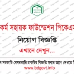 রুরাল পাওয়ার কোম্পানী লিমিটেড নিয়োগ ২০২৬ সার্কুলার RPCL Job Circular 2026