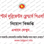 ৬২ পদে আনসার ভিডিপি উন্নয়ন ব্যাংক নিয়োগ বিজ্ঞপ্তি ২০২৬ প্রকাশ